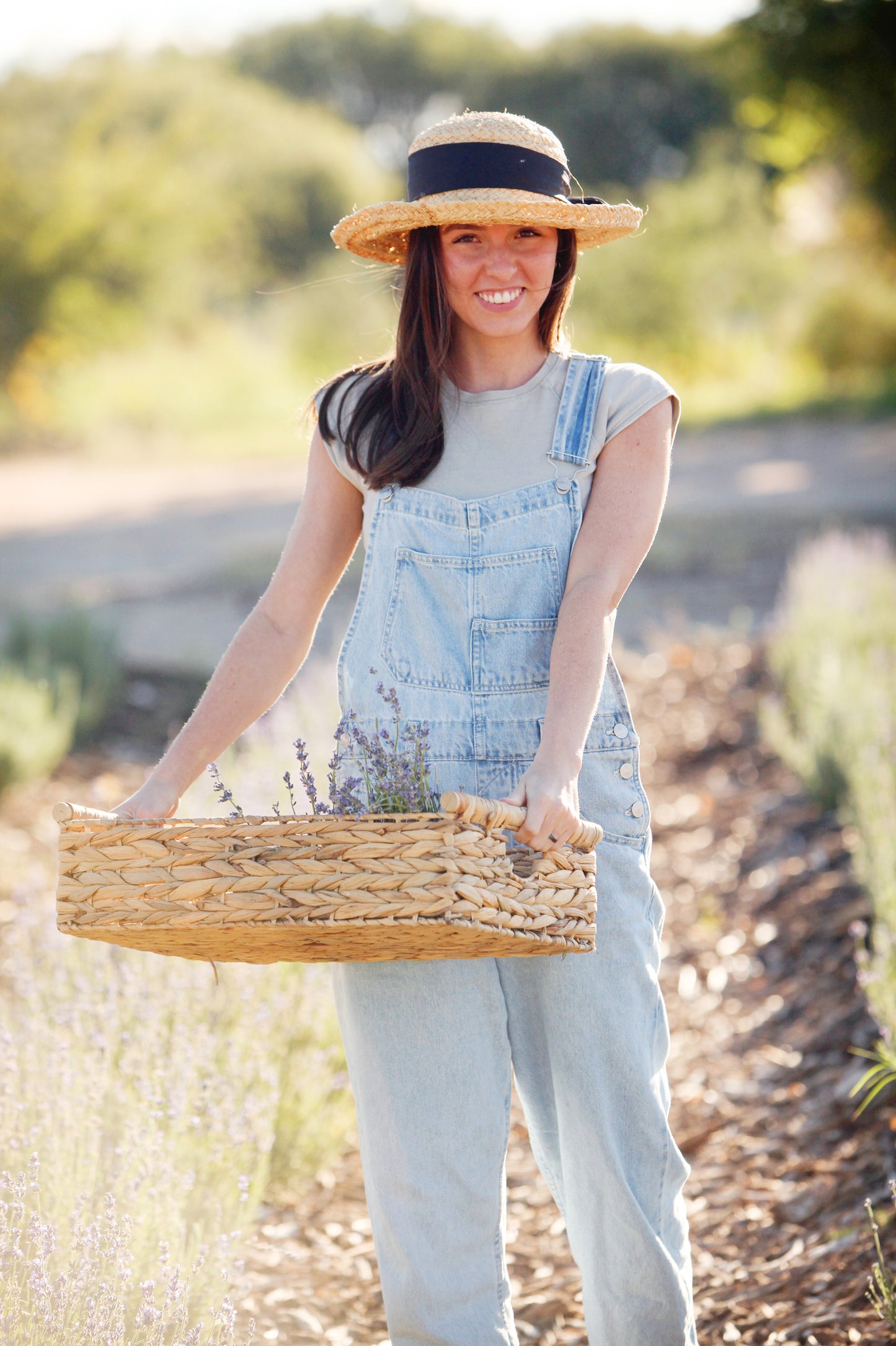 U pick fresh lavender bunch